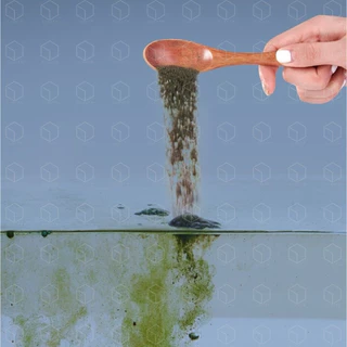 YEE ALGAE SPORE ผงสร้างตะไคร่ ผงสปอร์ตะไคร่ FISH LEBAO ปรับสภาพน้ำ ลดคลอลีน NITRIFYING BACTERIA แบคทีเรียสร้างระบบกรอง