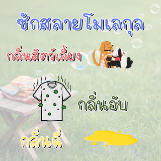 [Workup Mall] น้ำยาซักผ้าขจัดกลิ่นอับ สูตรเข้มข้น (ขนาด 1,000-3,500 มล.)