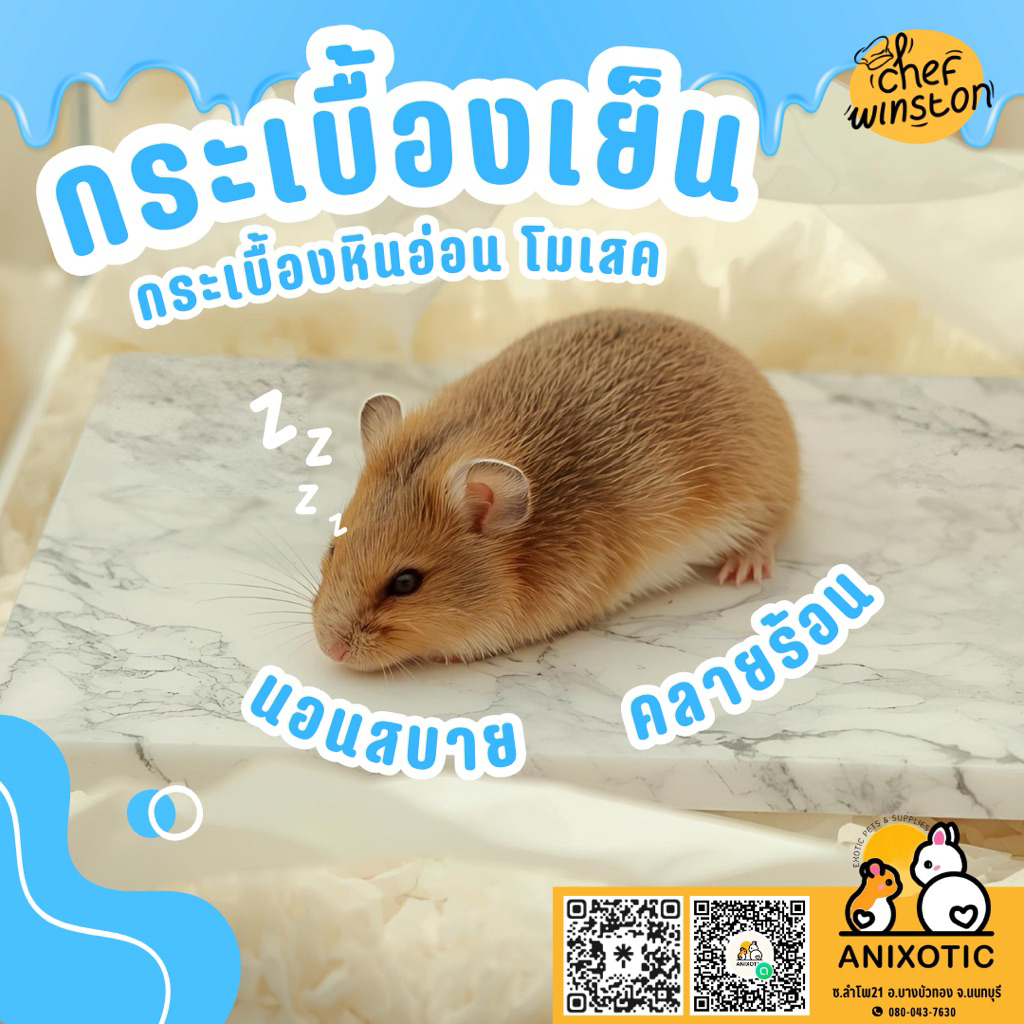 Anixotic [กระเบื้องเย็น] แผ่นหินเย็น กระเบื้องเย็นแฮมสเตอร์