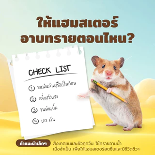 Winky Wink x Petcho ทรายอาบน้ำ​หนูแฮม​เตอร์ ทรายรองกรงหนู 0.01mmเม็ดทรายละเอียด ทำความสะอาดล้ำลึก ขจัดกลิ่น หนู แกสบี้
