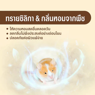 Winky Wink x Petcho ทรายอาบน้ำ​หนูแฮม​เตอร์ ทรายรองกรงหนู 0.01mmเม็ดทรายละเอียด ทำความสะอาดล้ำลึก ขจัดกลิ่น หนู แกสบี้