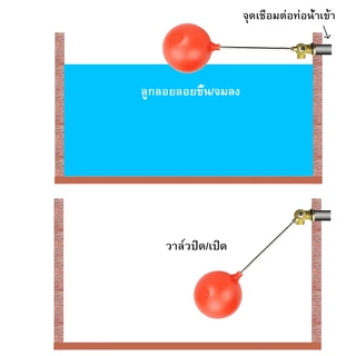 1/2 นิ้ว (4 หลุม) - 3/4 นิ้ว (6 หลุม) - 1 นิ้วตัดตรงทองเหลืองบอลลอยสีแดงบอลวาล์วควบคุมระดับน้ำขนาดเกลียว