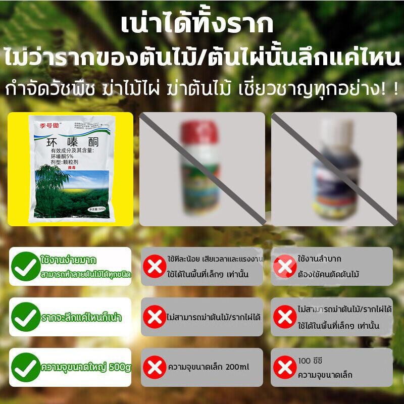 [ซื้อ 3 แถม 2 ฟรี]รากเน่ารากไม่ขึ้นอีก!! 500g ยากำจัดต้นไม้ สารกำจัดกอไผ่ ผงกำจัดต้นไผ่ ยาฆ่าตอไม้ สูตรเข้มข้น ราคา ถูกที่สุด ดีลบีเคเค แกลเลอรีภาพที่ 6