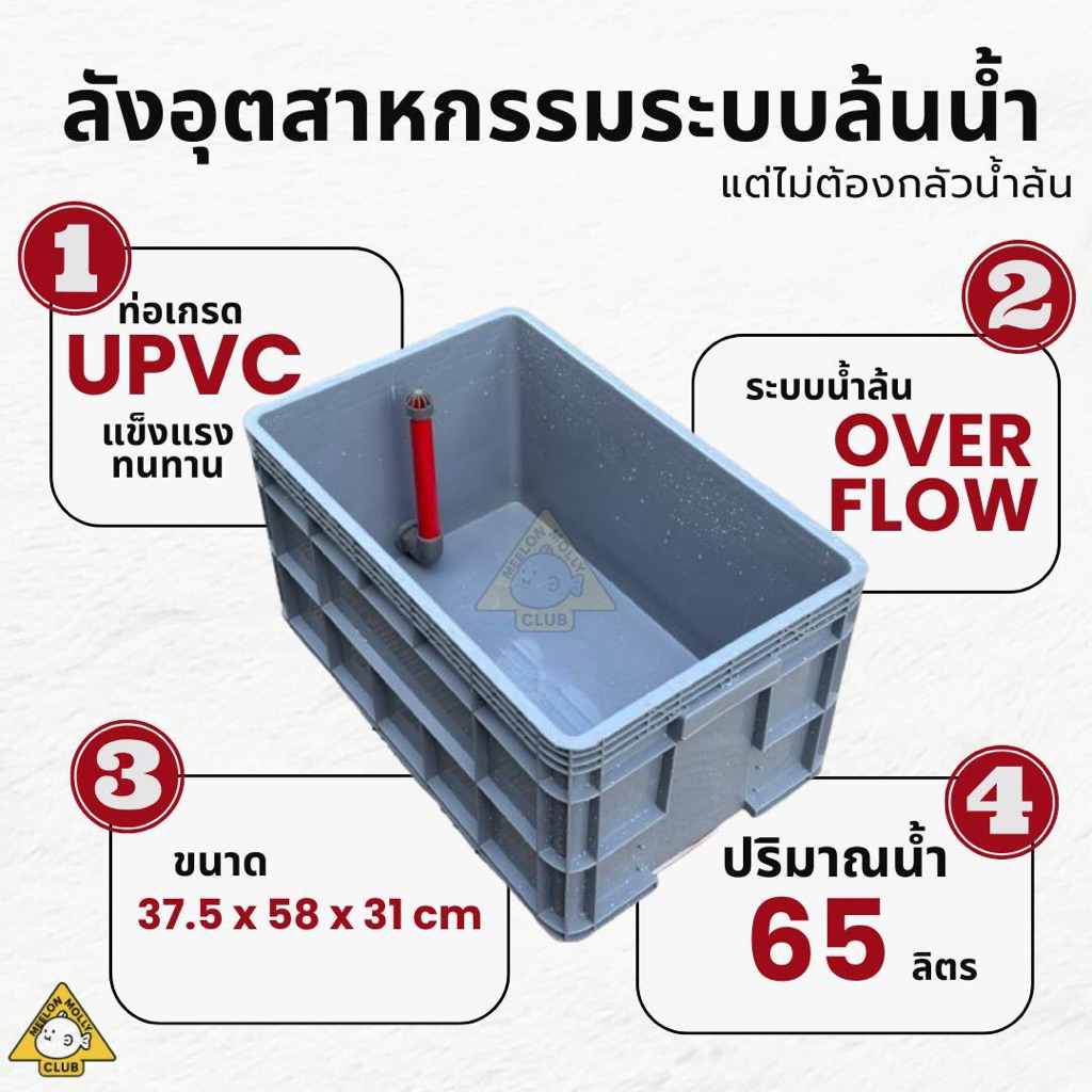 ลังเลี้ยงปลาระบบล้นน้ำOverFlow65ลิตรอ่างปลาอุตสาหกรรมเลี้ยงปลาบอลลูน