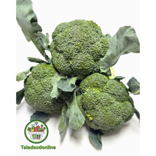 บล็อคโคลี สด สะอาด รับประกันคุณภาพ