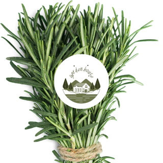 เมล็ดพันธุ์โรสแมรี่ 10 เมล็ด