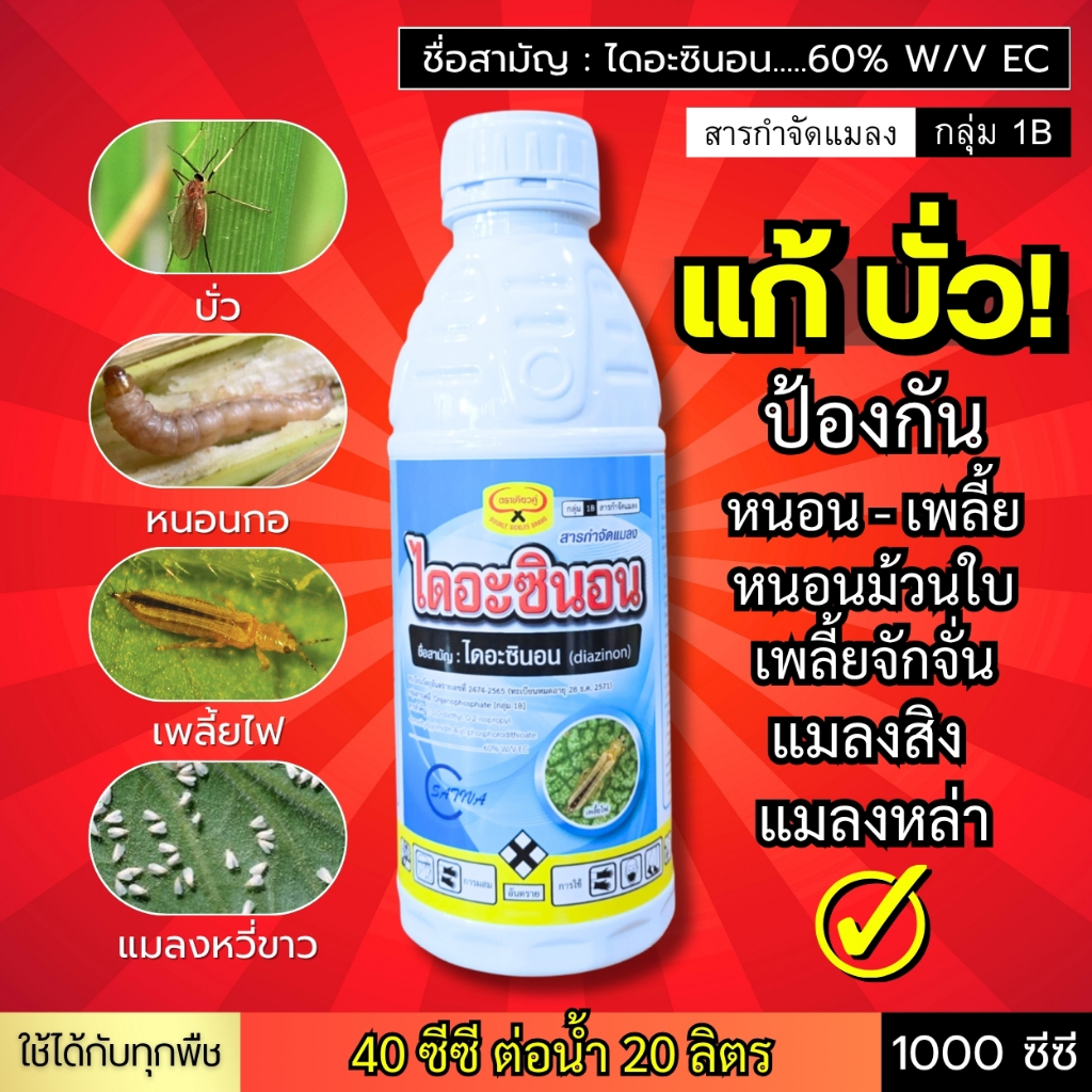 ไดอะซินอน (ไดอะซินอน60%) แก้ "แมลงบั่ว" ลงหนัก ป้องกัน หนอนกอ เพลี้ย แมลงหวี่ขาว แมลงสิง หล่า 1 ลิตร