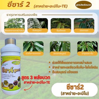 สาหร่าย+อะมิโน+TB ซีซาร์สูตร2 ขนาด 1 ลิตร ช่วยแตกตาดอก สาหร่…