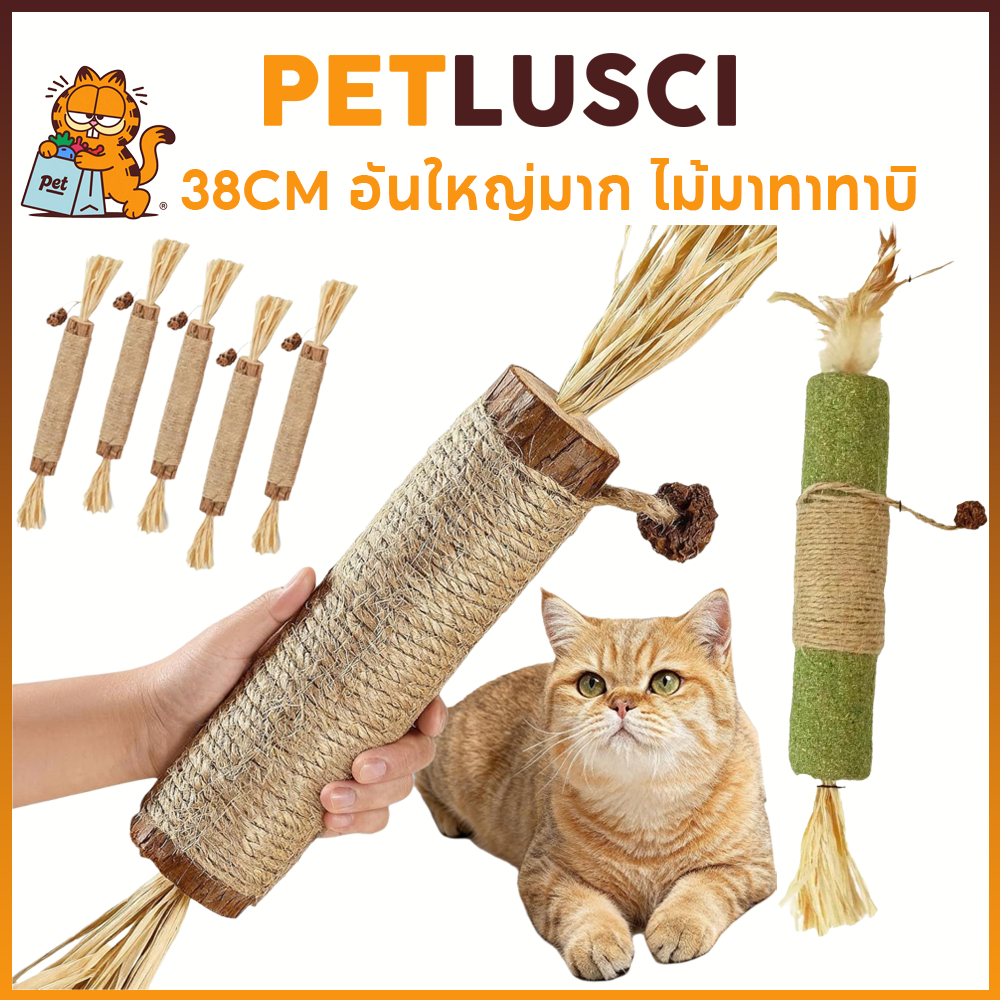 PETLUSCI 38CM อันใหญ่มาก ไม้มาทาทาบิ ขัดฟันแมว Matatabi แคทนิปญี่ปุ่น ลดคราบหินปูน ไม้แมวเมา