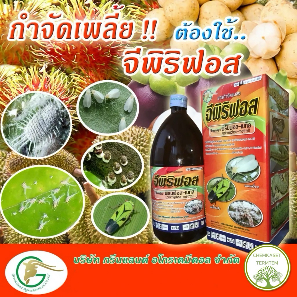 จีพิริมิฟอส-เมทิล 50%  ขนาด 1 ลิตร กำจัดเพลี้ยแป้ง เพลี้ยหอย และแมลงต่างๆ