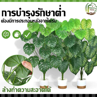 ต้นไม้ปลอมใหญ่ 12/18/24ใบ ความจำลอง 99% ไม่จำเป็นต้องบำรุงรักษา สดชื่นยาวนาน ต้นไม้ประดับบ้าน แถมฟรีหิน