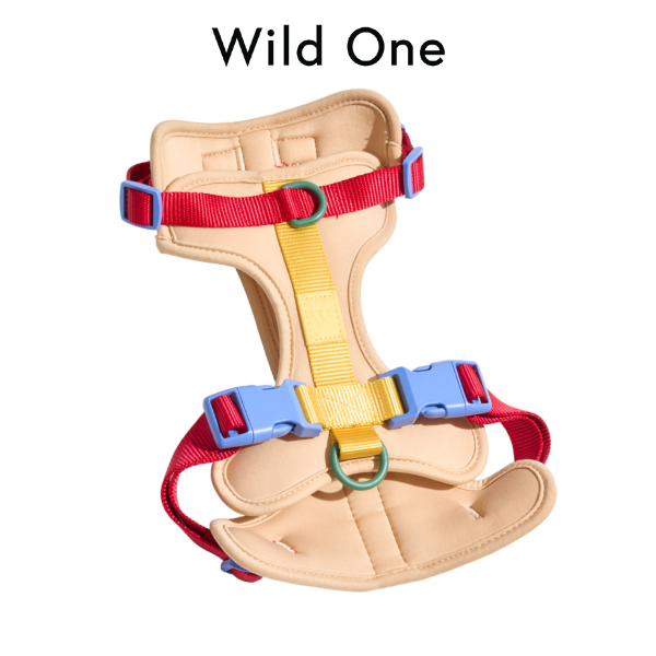 Wild One  -  Harness  |  TAN BLOCK 🐕🐕