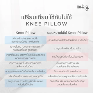 mr.big Knee Pillow หมอนรองเข่า สบายเข่าทั้งในท่านั่งและนอน