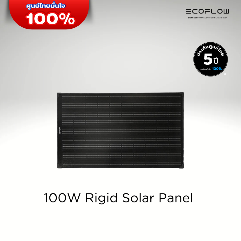 EcoFlow 100W Rigid Solar Panel