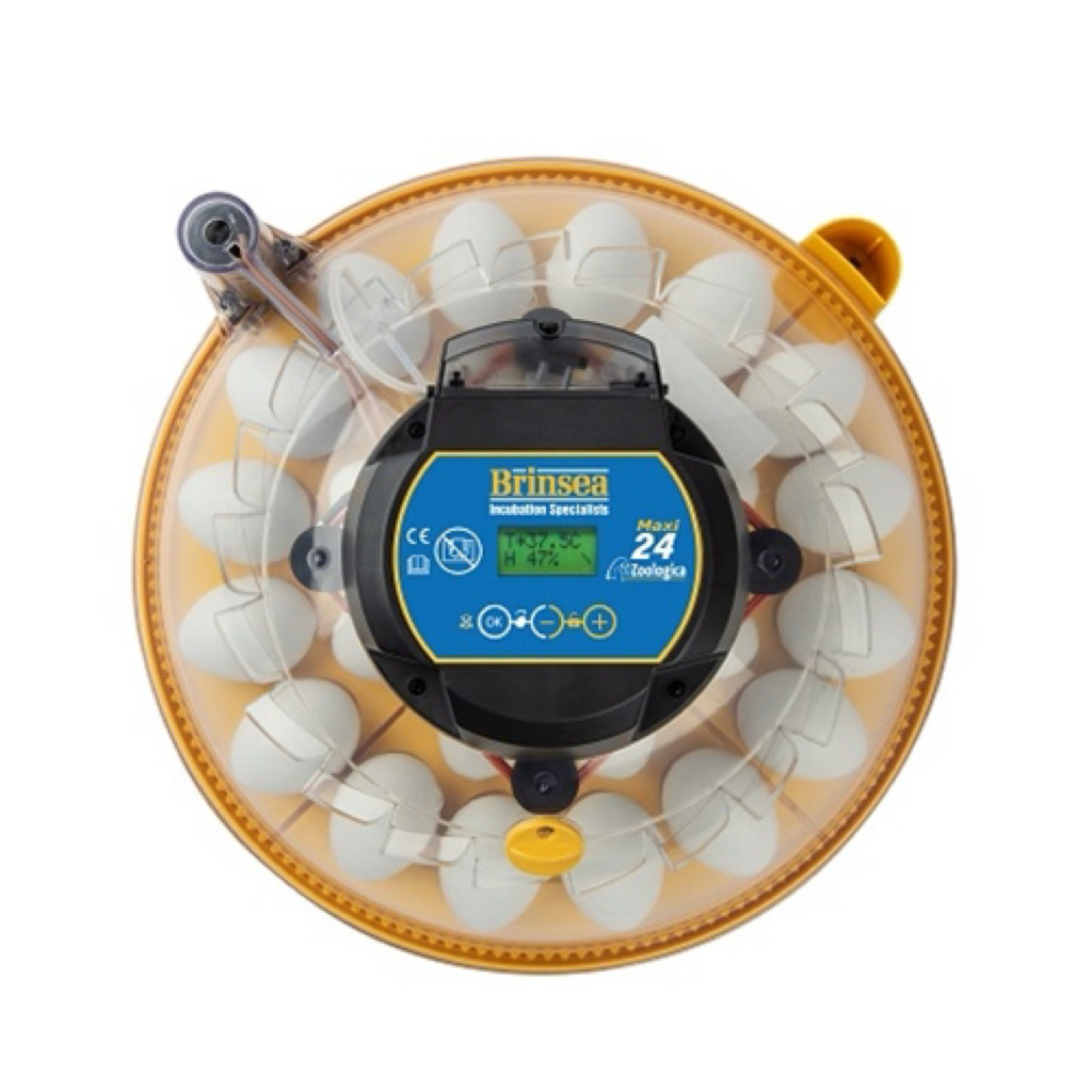 Brinsea Maxi 24 Zoologica Exotic egg incubator รูปที่ 2