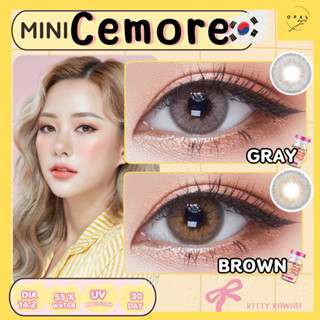 คอนแทคเลนส์Mini Cemore ✨ขนาดมินิ✨Brown / Gray  ✨ (kittykawai…