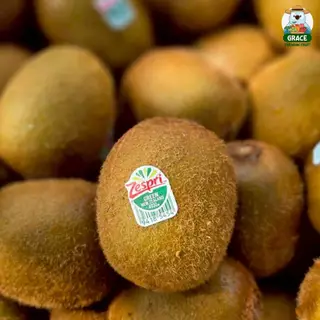 กีวี่ นิวซีแลนด์ สีเขียว/สีทอง แบรนด์ Zespri พรีเมี่ยม