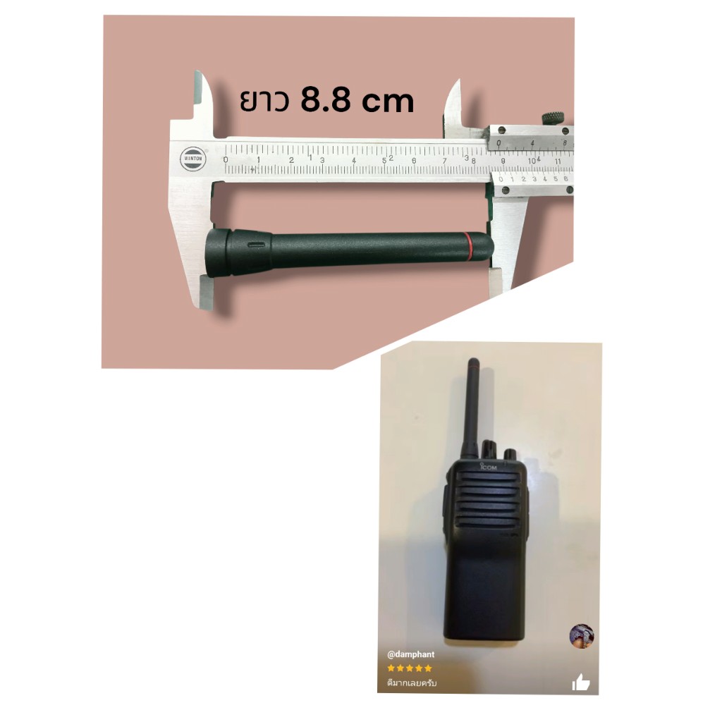 รูปภาพ 3