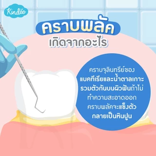 (ส่งด่วน) KINDEE ยาสีฟันเด็ก ออร์แกนิค สารสกัดจากธรรมชาติ ใช้ Xylitol แทนน้ำตาล