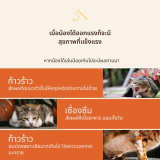 Hanapet ไม้ตกแมวขนนก/ขนสัตว์แท้ 100% มีให้เลือก 12 แบบ เบ็ดตกแมว ไม้ล่อแมวคุณภาพสูงนำเข้าจากเกาหลี