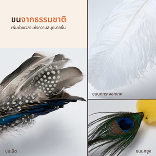 Hanapet ไม้ตกแมวขนนก/ขนสัตว์แท้ 100% มีให้เลือก 12 แบบ เบ็ดตกแมว ไม้ล่อแมวคุณภาพสูงนำเข้าจากเกาหลี