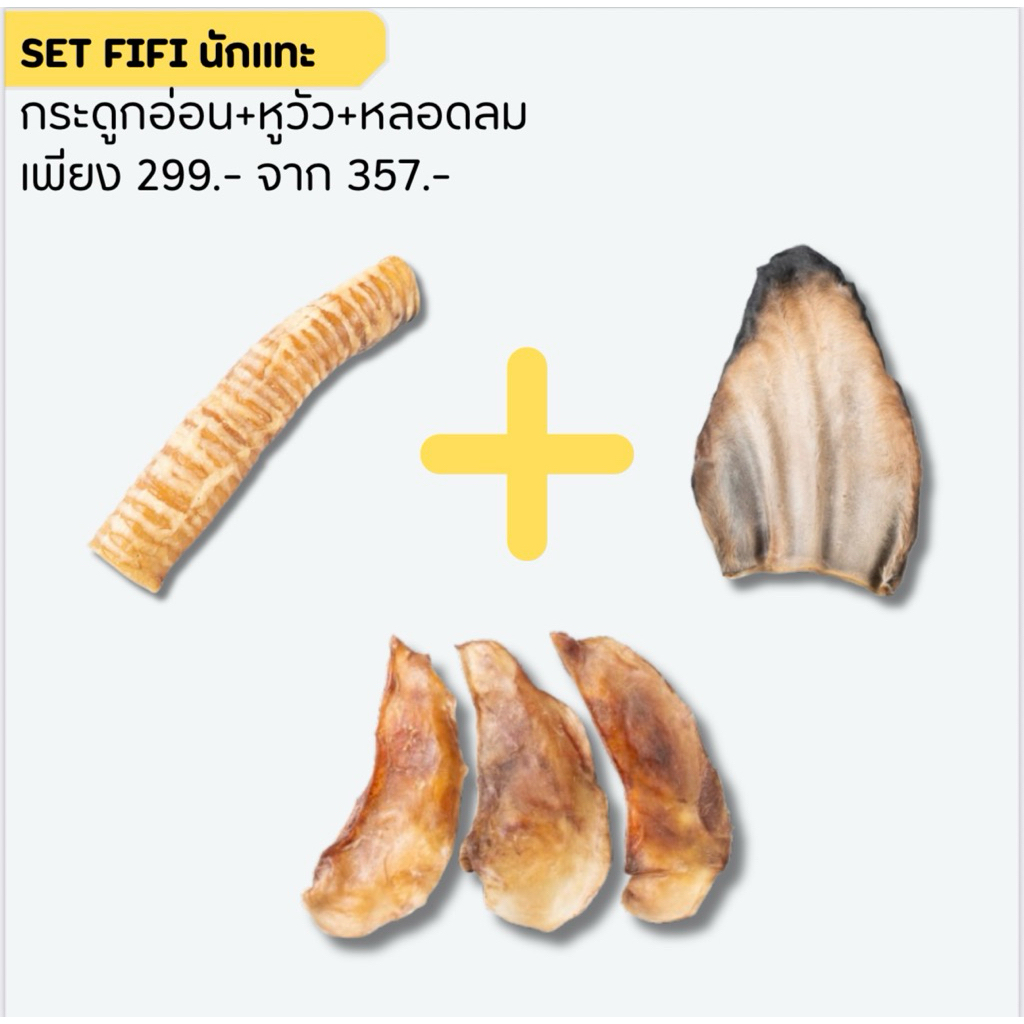Set Fifi นักแทะ แทะมันส์แทะคุ้ม ซื้อเซตถูกกว่า ขนมหมา ขนมสุนัข ขนมขัดฟันสุนัข