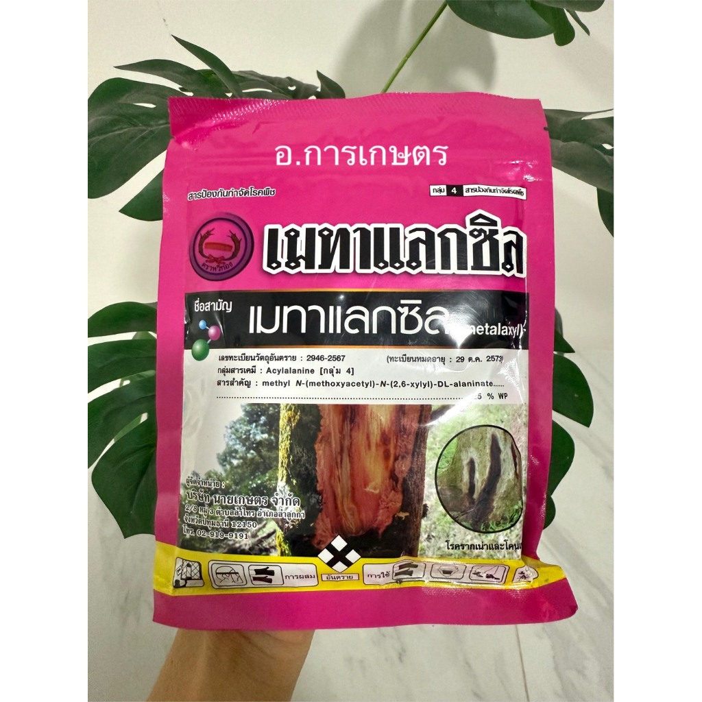 ใช้โค้ตพร้อมกันได้ เมทาแลกซิล ขนาด 100กรัม เมทาแลกซิล 25% ป้องกัน รากเน่า โคนเน่า ใบไหม้ ใบจุด เมทา