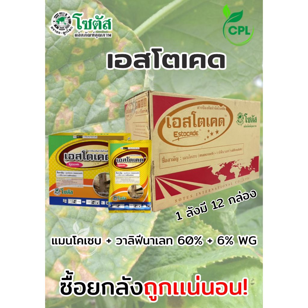 เอสโตเคด พิชิตโรคราน้ำค้าง หยุดการระบาดของโรคใบไหม้ 1 ลังมี 12 กล่องละ 1 กิโล (เเถมเสื้อ1ตัว)