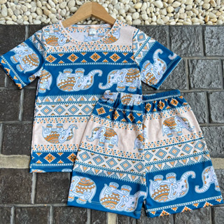 ชุดเด็กลายช้างสุดฮิตเสื้อพร้อมกางเกงผ้าไมโครนิ่มลื่นใส่สบายไ…
