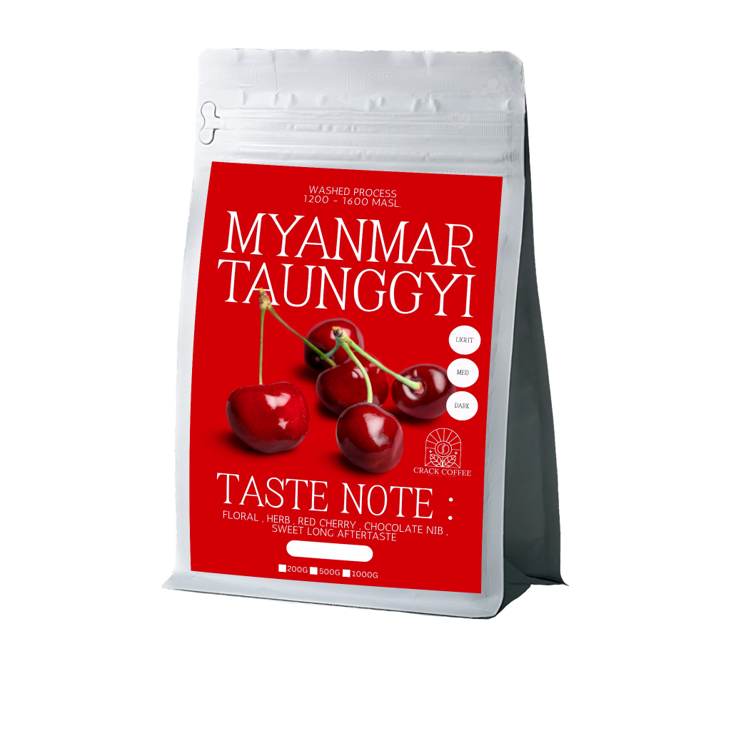 บดฟรี - เมียนม่า ตองจี อาราบิก้า 100%