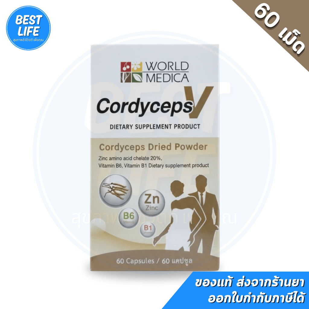 [บรรจุ 60 แคปซูล] Cordyceps V คอร์ดิเซพส์ วี ผงตังถั่งเฉ้า ซิงค์ อะมิโน แอซิด คีเลต 20%
