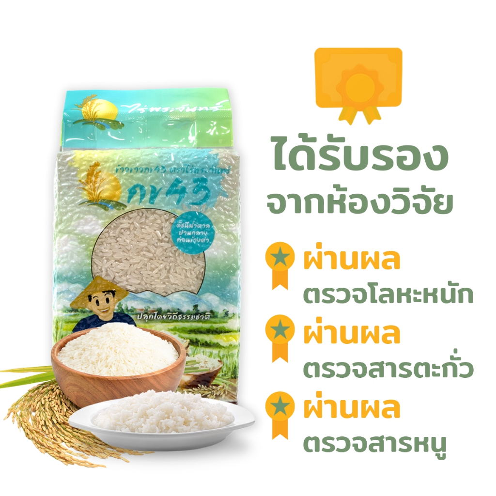 *ค่าส่งถูกที่สุด* ข้าวขาวกข43 คัดพิเศษ ปลอดสาร ไม่ใช้สารกันมอด แบรนด์ไร่พระจันทร์ ข้าว ข้าวสาร กข43 ข้าวกข43 RD43 rice - รูปที่ 2