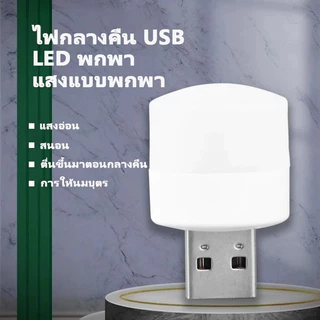 หลอดไฟ LED USB 2W หลอดไฟขนาดเล็ก แสงขาว วอร์ม แสงเหลือง ไฟมินิ
