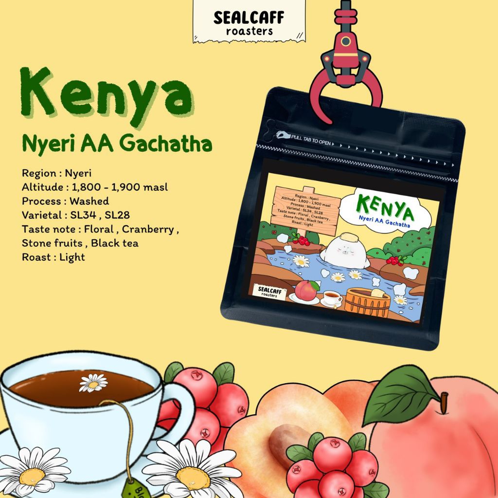 กาแฟคั่วอ่อน Kenya Nyeri AA Gachatha