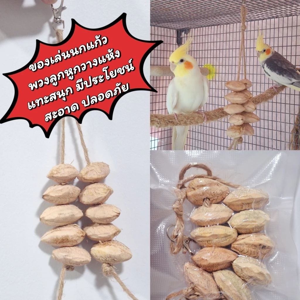 ของเล่นนก พวงลูกหูกวางแห้ง มีประโยชน์ ปลอดภัย แทะเล่นสนุก ลดอาการนกเสียงดัง