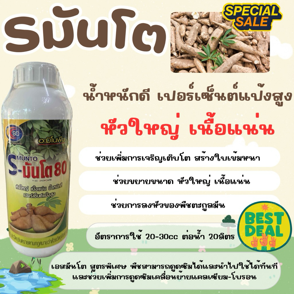(รักษ์เกษตร)⭐️ S-มันโต  หัวใหญ่ เนื้อแน่น (ขนาด1ลิตร) ⭐️