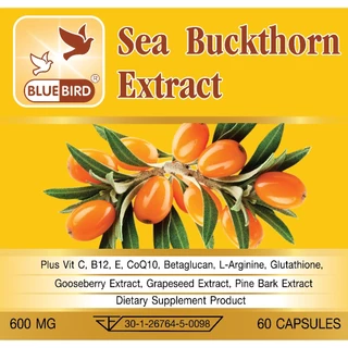 [1แถม1] Sea Buckthorn Extract Plus สารสกัดจากซีบัคธอร์น พลัส ตรา บลูเบิร์ด 600 มก. 60 แคปซูล