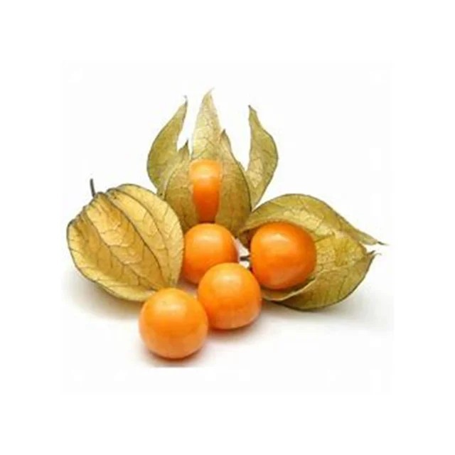 เคปกูสเบอรี่ 300 ก. จัดส่งแบบ express delivery ได้รับของภายในวัน