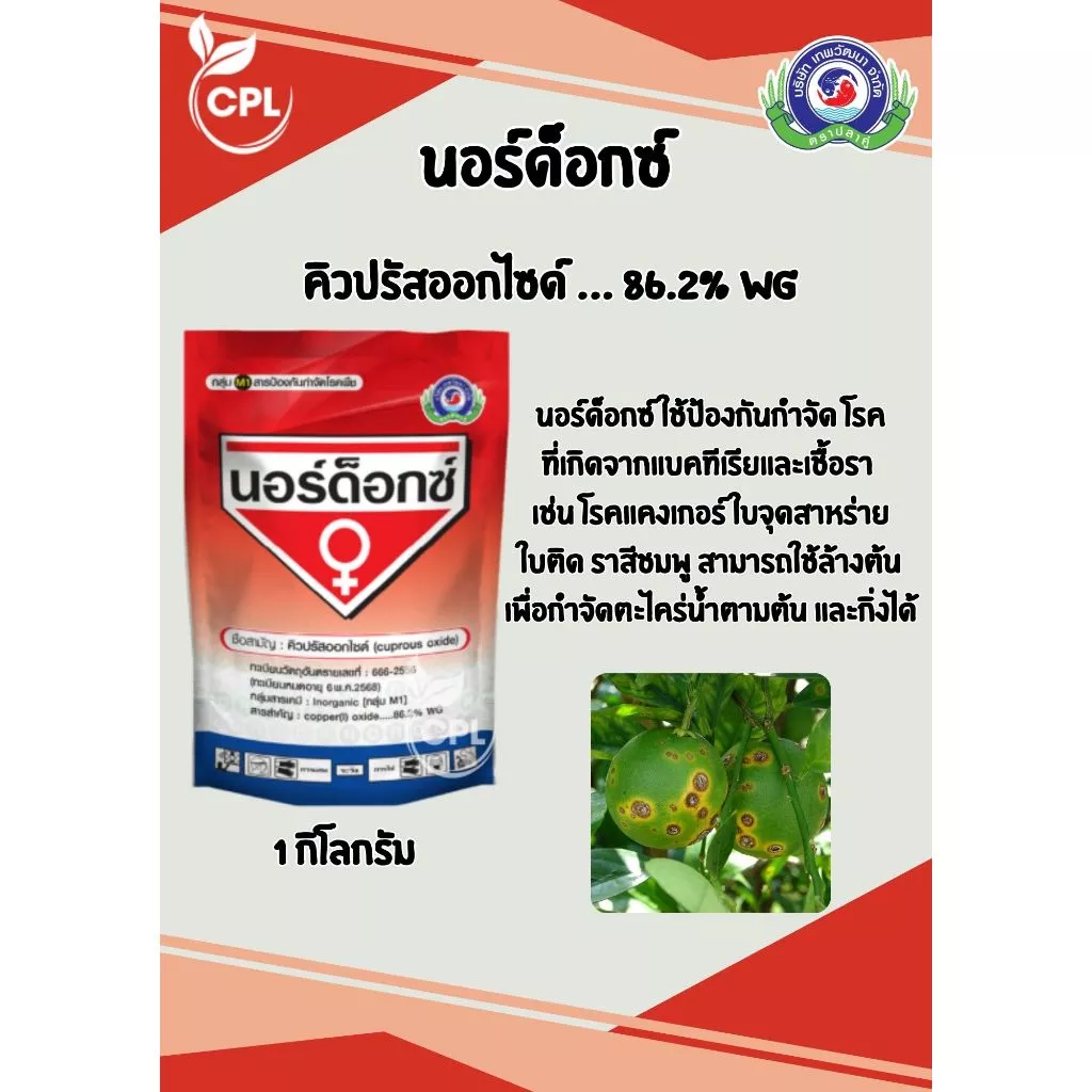 นอร์ด็อกซ์ 1 กิโลกรัม คอปเปอร์เเดง