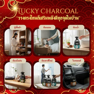 ถุงถ่านดับกลิ่น ฟอกอากาศ เกรดพรีเมี่ยม 300g ปล่อยประจุลบ ใช้ได้นาน นำกลับมาใช้ซ้ำได้