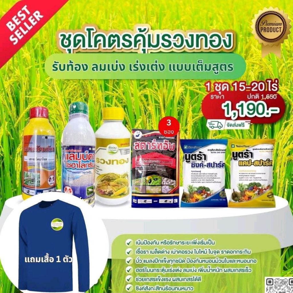 ชุดโคตรคุ้มรวงทอง ป้องกันและรักษาโรคราและหนอน เพลี้ย แมลงทั้งบำรุงต้นข้าวให้แข็งแรง 1ชุด15-20ไร่ใช้ก่อนข้าวท้องถึงออกรวง