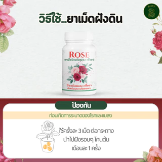 Rosy เซ็ทดูแลกุหลาบ [ยาเม็ด + สเปรย์เพลี้ยแดง + สเปรย์บำรุง] ป้องกันและกำจัดเพลี้ยไฟดื้อยา บำรุงกุหลาบ ปุ๋ยกุหลาบ