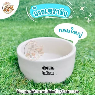 ถ้วยอาหารสัตว์ เซรามิก สำหรับใส่น้ำและอาหารสำหรับสัตว์เลี้ยง ขนาดกลาง (คละสีคละลาย) มีความหนาและน้ำหนักมาก