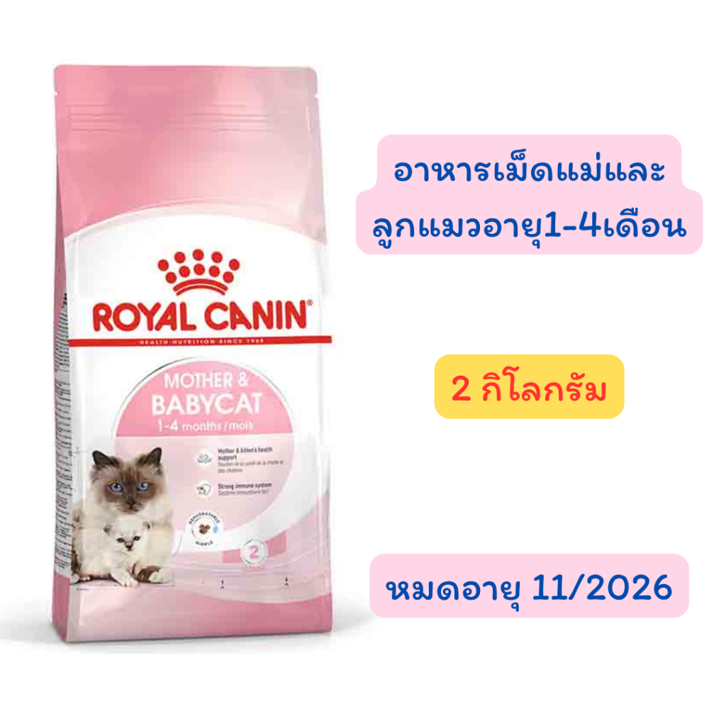 Royal Canin Starter Mother&Baby Cat 2kg อาหารแม่แมวตั้งท้อง-ให้นมและลูกแมวอายุต่ำกว่า 4 เดือน(Dry Cat Food, โรยัล คานิน)