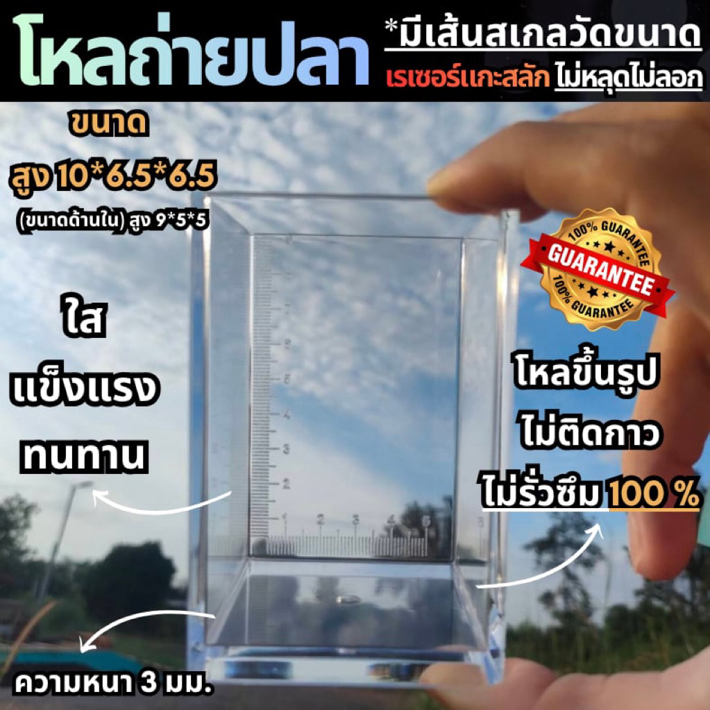 โหลถ่ายรูปปลา/ถ่ายวีดีโอปลา (วัสดุps) มีเส้นไม้บรรทัดใช้สำหรับถ่ายรูป/วีดีโอปลา
