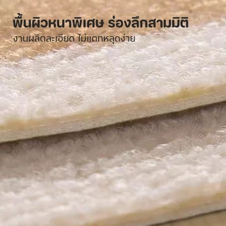 PET-RECORD แผ่นแมวปีน สำหรับติดผนัง พรมลับเล็บแมว ที่ฝนเล็บ แบบติดผนัง พร้อมกาว กันรอยข่วนได้ดี มีทั้งหมด