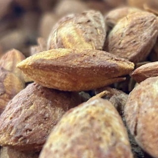 อัลมอนด์ อบเนย มีเปลือก Butter Roasted Almonds in Shell หอม กรอบ อร่อย เคี้ยวเพลิน ธัญพืชเพื่อสุขภาพ