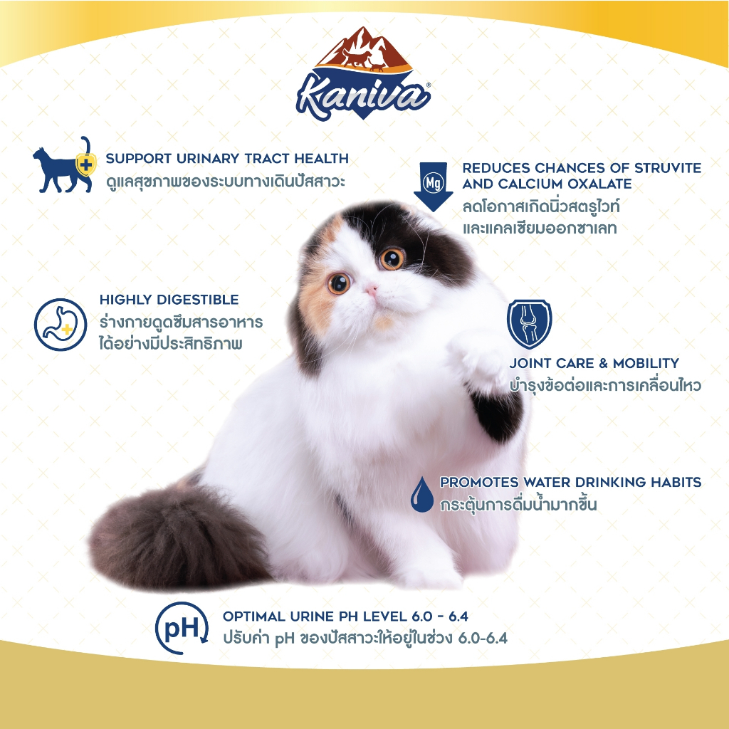Kaniva Cat Food อาหารแมว 2.5 - 3.2 KG. บำรุงผิวหนังและขน ช่วยปรับสมดุล เพื่อแมวขนสวย เงางาม สุขภาพดี - รูปที่ 4