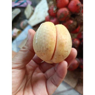 ระกำเปรี้ยว ขนาด1กิโล