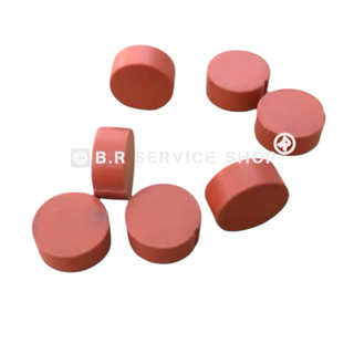 ยางวาล์วสตรีม,น้ำร้อน ปะเก็น VITON EXPOBAR , SANREMO ,ROCKET…